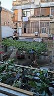 Moosica Hostel