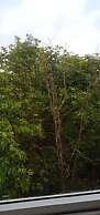 Century Da Lat