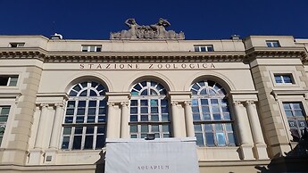 B&B Ai baretti