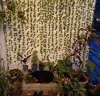 Tempo - Hostel