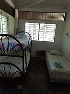 Hammock Plantation - Hostel