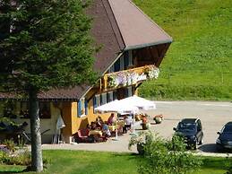 Hotel Lawine