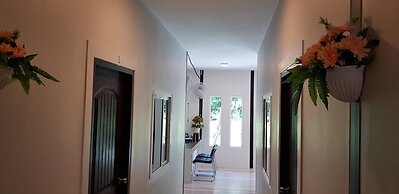 Nest  Hostel Lipe