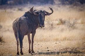 Ritsako Game Lodge