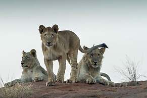 Ritsako Game Lodge