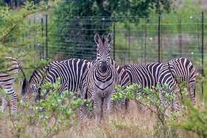 Ritsako Game Lodge