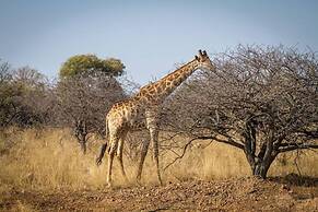 Ritsako Game Lodge