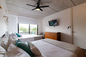 Areca 301 by CocoBR