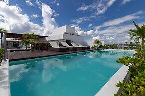 Areca 301 by CocoBR