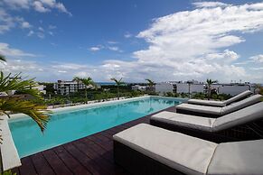 Areca 301 by CocoBR