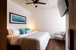 Areca 301 by CocoBR