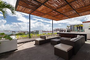 Areca 301 by CocoBR