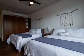 Areca 201 by CocoBR