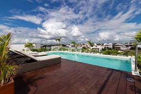 Areca 201 by CocoBR