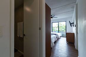 Areca 201 by CocoBR