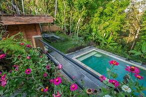 Sanga Suites Villas