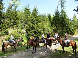 Camping Osenbach