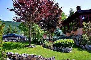 Hotel Bucaneve