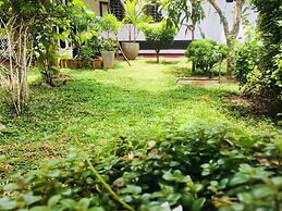 Nature Rex - Hostel