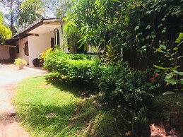 Nature Rex - Hostel