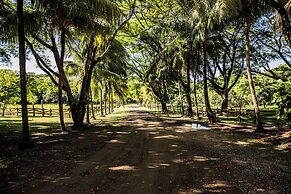 Hacienda Barrigona