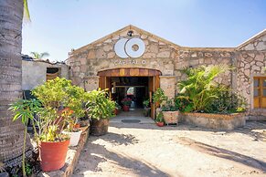 Collection O Hotel Monte Agave