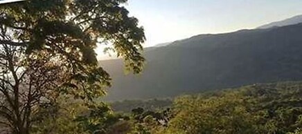 Finca San Miguel