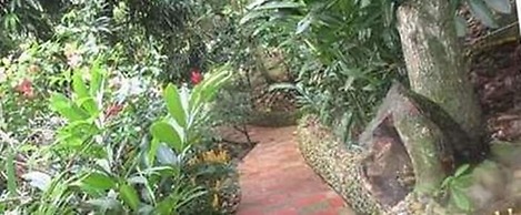 Finca San Miguel