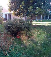 B&B Acquario