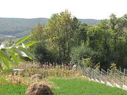 Agropensiunea Maris
