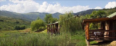 The Old Orchard