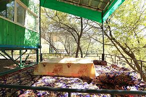 Recreation Zone Dustlik