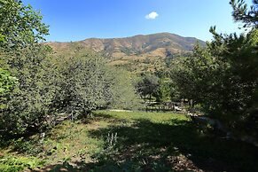 Recreation Zone Dustlik