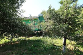 Recreation Zone Dustlik