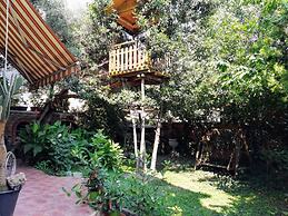 Casa con giardino