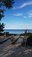 Andros Treazure