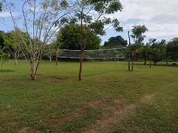 Wild eco safari