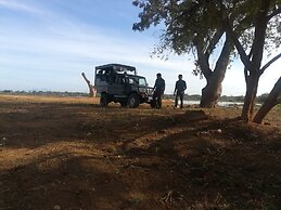 Wild eco safari