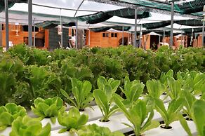 CoCo Farm Hoi An