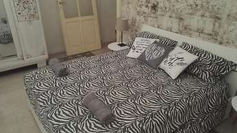 Camere Mazzini 49