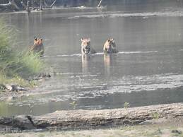 Rhino Lodge Bardia
