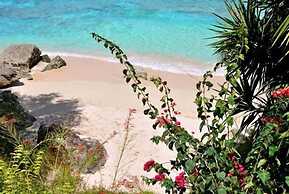 Secret Cove 4