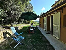 Alle Case Sparse