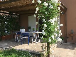 Alle Case Sparse