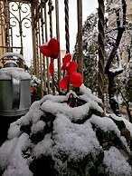 Eccelsoleccese
