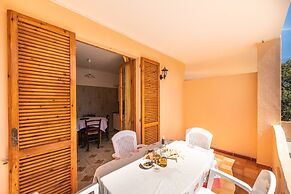 Casa Collodi