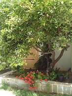 Corali Studios