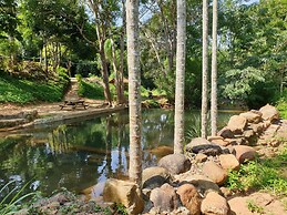 Nature Hub Koslanda