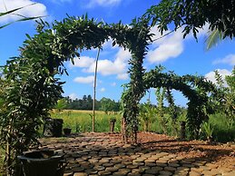 Viveka Inn Guest