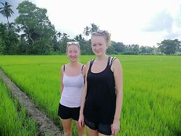 Viveka Inn Guest